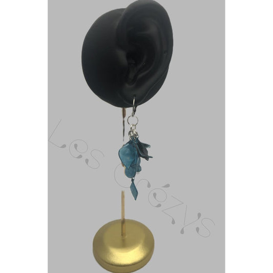 Boucles crochets d'oreilles